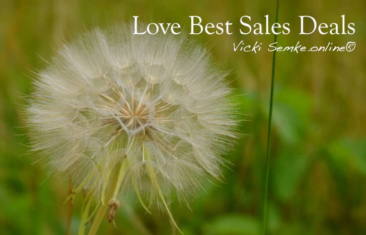 Free download `Find _Marketplace, Love *Best Deals   Good _Shopping!  Love Global Video Shows Vicki Semke.online video and edit with RedcoolMedia movie maker MovieStudio video editor online and AudioStudio audio editor onlin